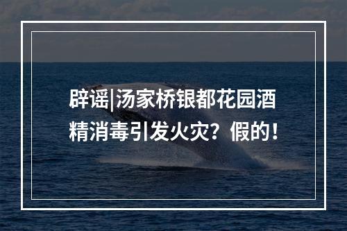 辟谣|汤家桥银都花园酒精消毒引发火灾？假的！
