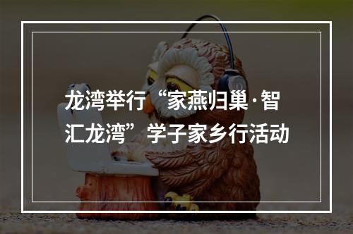 龙湾举行“家燕归巢·智汇龙湾”学子家乡行活动