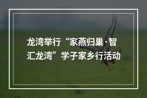 龙湾举行“家燕归巢·智汇龙湾”学子家乡行活动