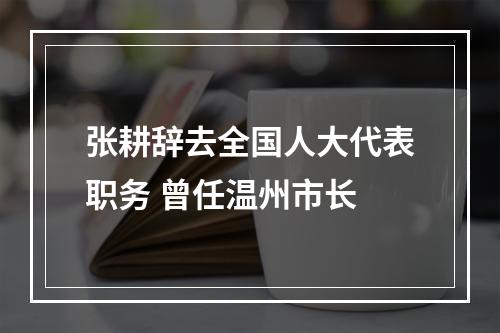 张耕辞去全国人大代表职务 曾任温州市长