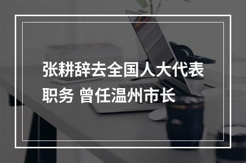 张耕辞去全国人大代表职务 曾任温州市长