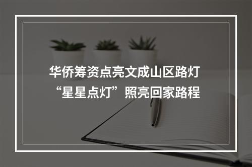 华侨筹资点亮文成山区路灯 “星星点灯”照亮回家路程