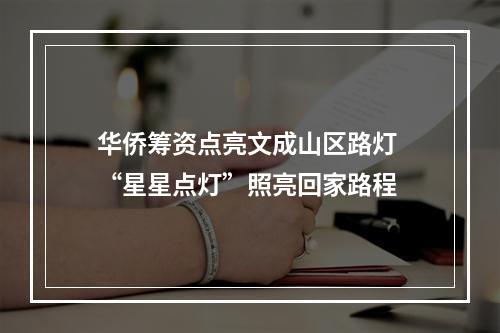 华侨筹资点亮文成山区路灯 “星星点灯”照亮回家路程