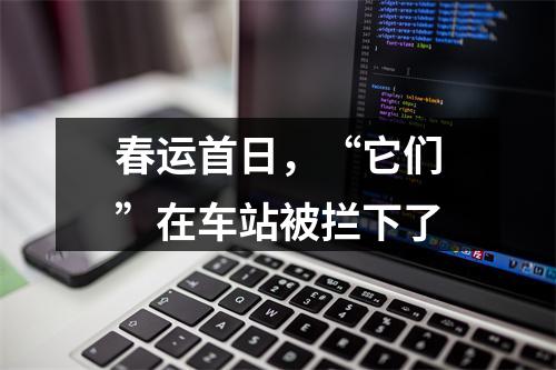 春运首日，“它们”在车站被拦下了