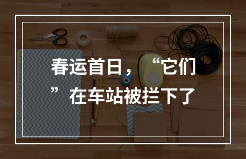 春运首日，“它们”在车站被拦下了