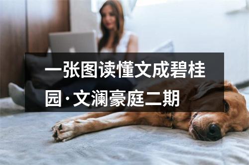 一张图读懂文成碧桂园·文澜豪庭二期