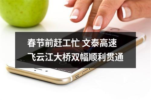 春节前赶工忙 文泰高速飞云江大桥双幅顺利贯通
