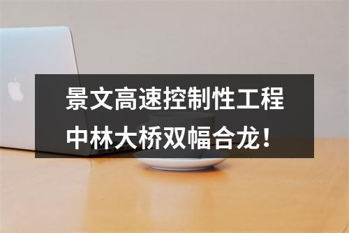 景文高速控制性工程中林大桥双幅合龙！