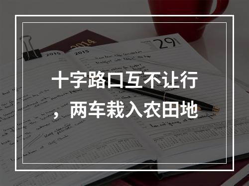 十字路口互不让行，两车栽入农田地