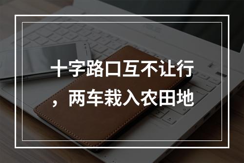 十字路口互不让行，两车栽入农田地