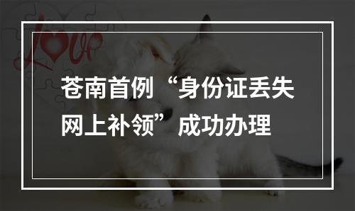 苍南首例“身份证丢失网上补领”成功办理