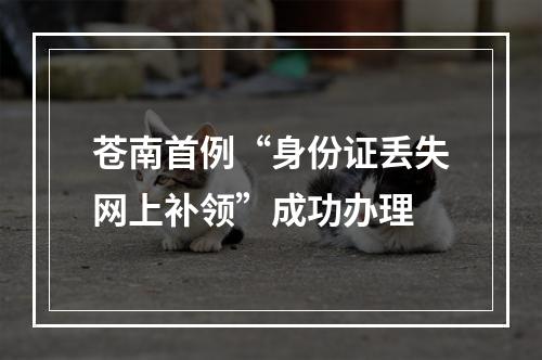 苍南首例“身份证丢失网上补领”成功办理