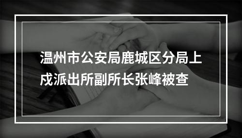 温州市公安局鹿城区分局上戍派出所副所长张峰被查