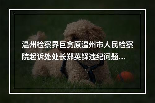 温州检察界巨贪原温州市人民检察院起诉处处长郑英铎违纪问题的举报