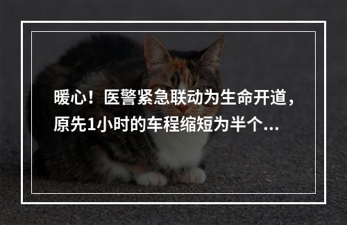 暖心！医警紧急联动为生命开道，原先1小时的车程缩短为半个小时