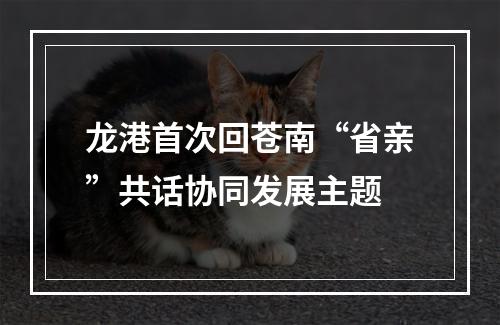 龙港首次回苍南“省亲”共话协同发展主题