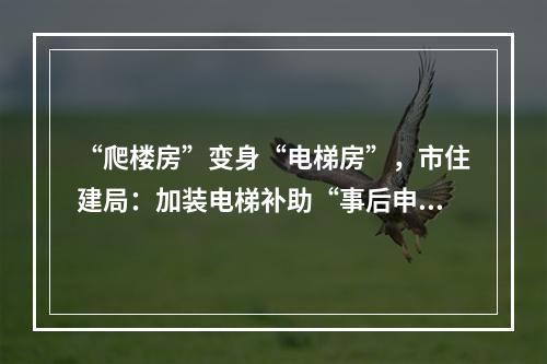 “爬楼房”变身“电梯房”，市住建局：加装电梯补助“事后申领”