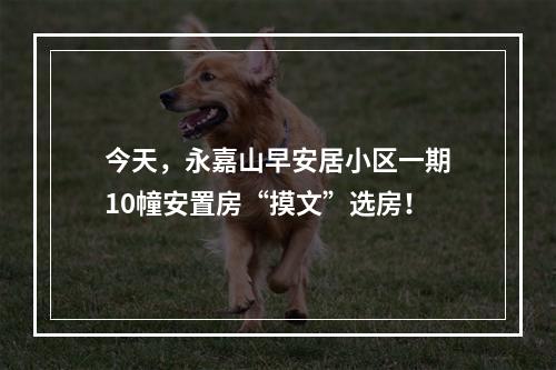 今天，永嘉山早安居小区一期10幢安置房“摸文”选房！