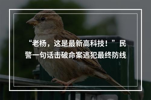 “老杨，这是最新高科技！”民警一句话击破命案逃犯最终防线