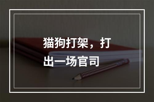 猫狗打架，打出一场官司
