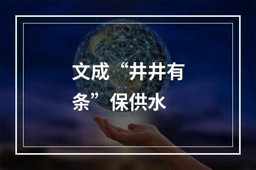 文成“井井有条”保供水