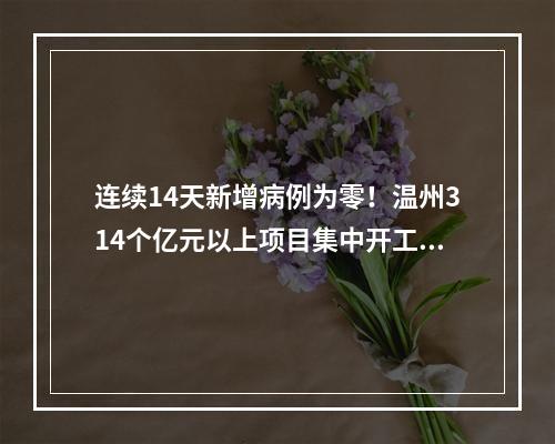 连续14天新增病例为零！温州314个亿元以上项目集中开工！国企复工情况如何？