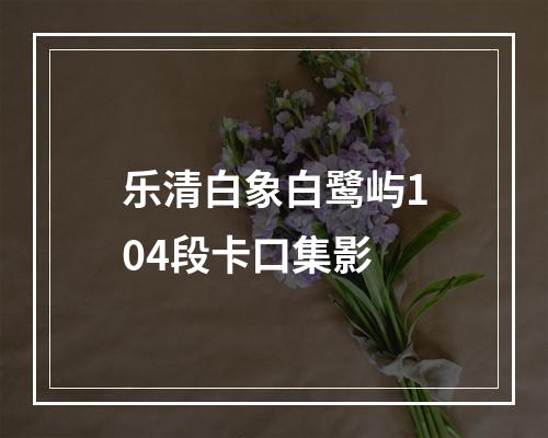 乐清白象白鹭屿104段卡口集影