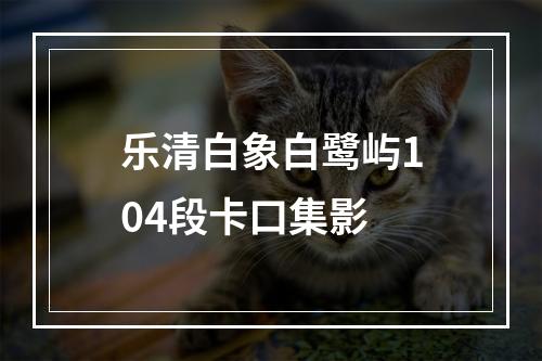 乐清白象白鹭屿104段卡口集影