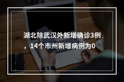 湖北除武汉外新增确诊3例，14个市州新增病例为0