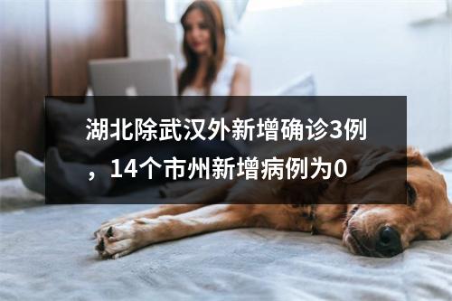 湖北除武汉外新增确诊3例，14个市州新增病例为0