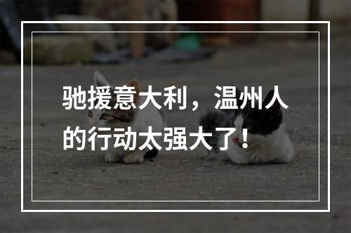 驰援意大利，温州人的行动太强大了！