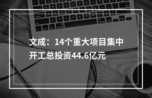 文成：14个重大项目集中开工总投资44.6亿元