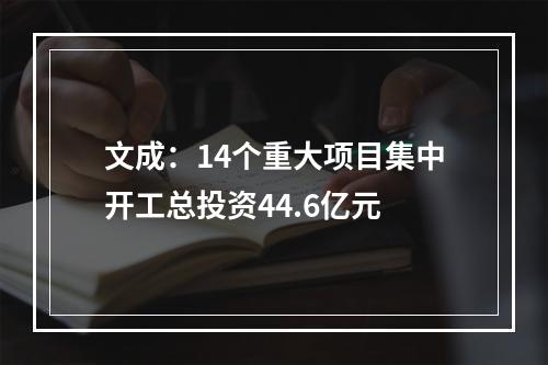 文成：14个重大项目集中开工总投资44.6亿元