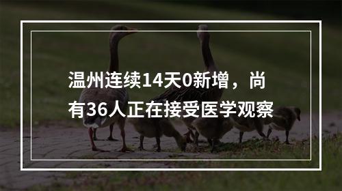 温州连续14天0新增，尚有36人正在接受医学观察