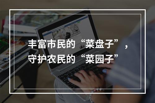 丰富市民的“菜盘子”，守护农民的“菜园子”