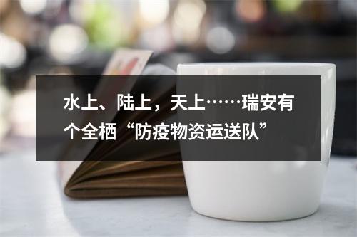 水上、陆上，天上……瑞安有个全栖“防疫物资运送队”