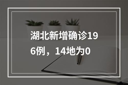 湖北新增确诊196例，14地为0