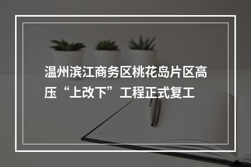 温州滨江商务区桃花岛片区高压“上改下”工程正式复工