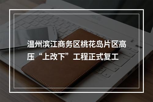 温州滨江商务区桃花岛片区高压“上改下”工程正式复工