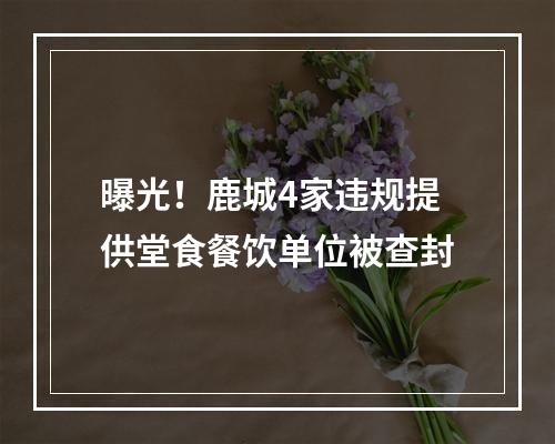 曝光！鹿城4家违规提供堂食餐饮单位被查封