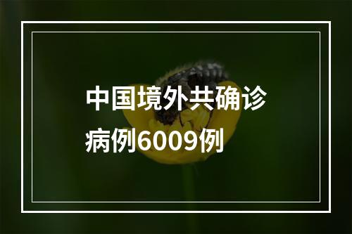 中国境外共确诊病例6009例