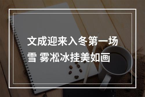 文成迎来入冬第一场雪 雾凇冰挂美如画