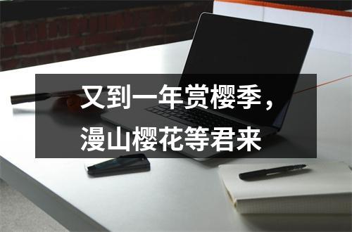 又到一年赏樱季，漫山樱花等君来