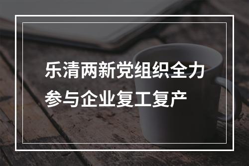 乐清两新党组织全力参与企业复工复产