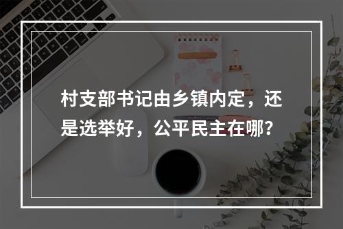 村支部书记由乡镇内定，还是选举好，公平民主在哪？