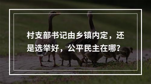 村支部书记由乡镇内定，还是选举好，公平民主在哪？