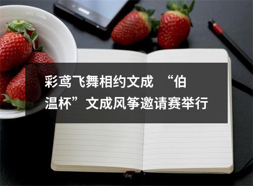 彩鸢飞舞相约文成  “伯温杯”文成风筝邀请赛举行