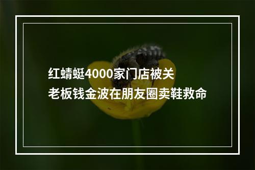 红蜻蜓4000家门店被关 老板钱金波在朋友圈卖鞋救命