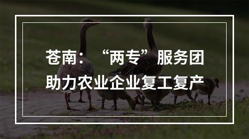 苍南：“两专”服务团助力农业企业复工复产