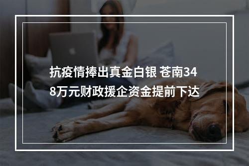 抗疫情捧出真金白银 苍南348万元财政援企资金提前下达